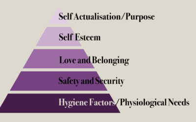 Maslow’s Hierarchy of Needs